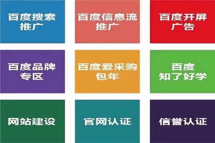 搜索引擎营销（SEM）专员的挑战与机遇